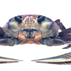 画像ギャラリー No.014のサムネイル画像 / 魚介類TPS「Ace of Seafood」のPS4が配信開始。PLAYISMのデジゲー博出展情報も公開