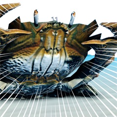 画像ギャラリー No.015のサムネイル画像 / 魚介類TPS「Ace of Seafood」のPS4が配信開始。PLAYISMのデジゲー博出展情報も公開