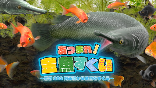 画像ギャラリー No.001のサムネイル画像 / Nintendo Switch「あつまれ！金魚すくい」が8月2日に配信開始。外来生物が金魚を襲撃する