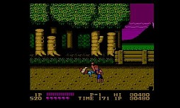 画像ギャラリー No.004のサムネイル画像 / 「ダブルドラゴン」が3DS向けバーチャルコンソールで蘇る。2月6日配信開始