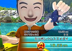 画像ギャラリー No.003のサムネイル画像 / 「ファミリーフィッシング」，2月8日に「ミツボシクロスズメダイ」が放流予定