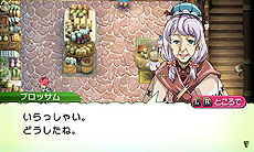 画像ギャラリー No.021のサムネイル画像 / 「ルーンファクトリー4」敵だけど仲良くしたい“モンスター”,お約束のお風呂もある“町の施設”の情報が公開