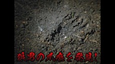 画像ギャラリー No.003のサムネイル画像 / 「マジック：ザ・ギャザリング」の最新拡張パック“イニストラード：真夜中の狩り”がリリース。特別CM映像を公開中