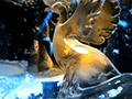 ［GDC 2015］「Maliを使うとUnity 5で何ができるか」をARMがアピール。キーワードは「ローカルキューブマップ」