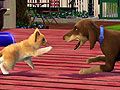 EA，「ザ・シムズ3 ペット」を2011年10月20日に発売。ペットを飼うだけではなく，ペットになって暮らすこともできるのだ