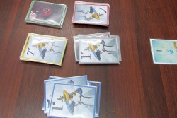 画像ギャラリー No.024のサムネイル画像 / アナログゲーム,西の祭典「ゲームマーケット2013大阪」。日本ボードゲーム大賞2012受賞作も発表されたイベントの模様をフォトレポートで紹介