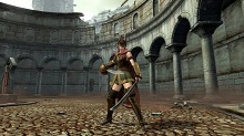 画像ギャラリー No.005のサムネイル画像 / 「GLADIATOR VS」本日正式オープンの公式サイトで，ゲームの魅力を伝える「ぐらTV！」の配信がスタート。TGSでのプレイアブル展示が決定