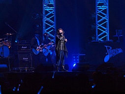 画像ギャラリー No.006のサムネイル画像 / 「PERSONA MUSIC FES 2013〜in日本武道館」をレポート。熱狂のステージに「来年はドーム！」の声も