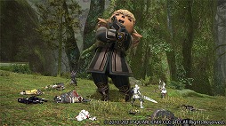 画像ギャラリー No.005のサムネイル画像 / MMORPGの面白さってなんだ?――オンラインゲーム開発のあれこれを語り尽くす「DQX」「FFXI」「FFXIV」プロデューサー座談会