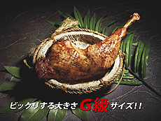 画像ギャラリー No.018のサムネイル画像 / USJの「モンスターハンター・ザ・リアル 2012」が本日開幕。等身大「動くリオレイア希少種」にDLクエストの先行配信にと催しは盛りだくさん