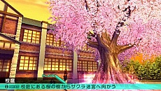 画像ギャラリー No.009のサムネイル画像 / 「フェイト/エクストラ CCC」のパッケージ版国内出荷本数＆ダウンロード版販売本数の累計が11万本を突破。シリーズ最高の販売本数を達成