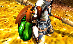 画像ギャラリー No.013のサムネイル画像 / ［TGS 2012］新武器「操虫棍」もバッチリ収録された「モンスターハンター4」の最新トレイラーが公開に