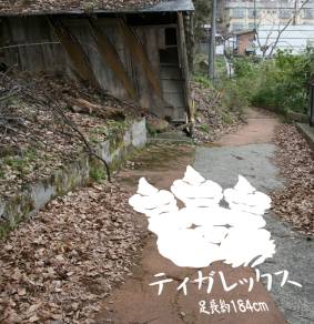 画像ギャラリー No.011のサムネイル画像 / 「モンハン」と信州渋温泉が3度めのコラボ。開催期間は7月27日から約1年間