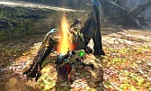 画像ギャラリー No.567のサムネイル画像 / まもなく狩猟解禁！ 「モンスターハンター4」はどう進化しているのか，新要素や公式情報などをギュギュッと凝縮。500点以上の画像とともに総まとめ