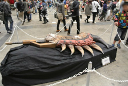 画像ギャラリー No.110のサムネイル画像 / 約1万2000人の狩人が集結した「モンスターハンターフェスタ’13」東京大会をレポート。「狩王決定戦」「親子ハンター/女子ハンター日本一決定戦」の東京地区代表も決定