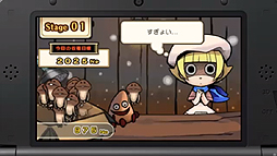 画像ギャラリー No.022のサムネイル画像 / 「真・女神転生IV」最新情報や「MH3G」用ツールなどが発表された,任天堂 岩田社長による「Nintendo 3DS Direct 2013.2.21」詳報