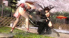 画像ギャラリー No.016のサムネイル画像 / 「DEAD OR ALIVE 5」は9月27日発売！　同時発売のコレクターズエディションなら全女性キャラのセクシーコスチュームが入手可能。さらに“バーチャ”からサラの参戦が明らかに