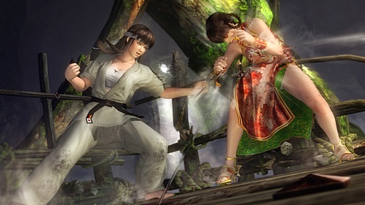 画像ギャラリー No.023のサムネイル画像 / 「DEAD OR ALIVE 5」にアキラとサラがゲスト参戦することになったキッカケとは? コーエーテクモ・SEGA開発陣へのインタビューを掲載