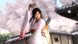 画像ギャラリー No.052のサムネイル画像 / 「DEAD OR ALIVE 5」にアキラとサラがゲスト参戦することになったキッカケとは？ コーエーテクモ・SEGA開発陣へのインタビューを掲載