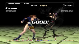 画像ギャラリー No.004のサムネイル画像 / 「DEAD OR ALIVE 5」，タッグマッチにフォーカスしたムービーとスクリーンショットを公開。華麗な連携技に酔いしれろ