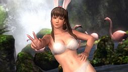 画像ギャラリー No.004のサムネイル画像 / PS3「DEAD OR ALIVE 5」ダウンロード版の同時発売が決定。価格は7400円