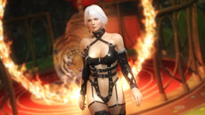 画像ギャラリー No.002のサムネイル画像 / 「DEAD OR ALIVE 5」有料ダウンロードコンテンツ第5弾の配信が本日スタート。カンフースーツやメイド風の衣装など全12キャラ分の衣装が登場