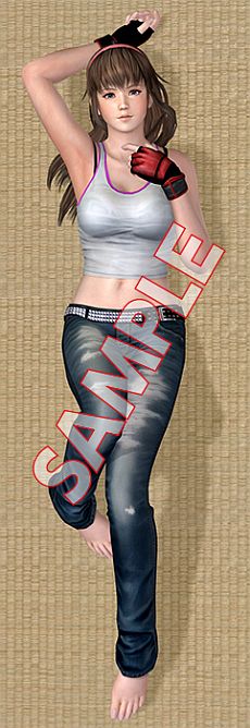 画像ギャラリー No.005のサムネイル画像 / 「DEAD OR ALIVE 5」，抱き枕カバー5種「かすみ/あやね/ヒトミ/レイファン/こころ」の予約受付が本日スタート。対応ジョイスティックが当たるキャンペーンも