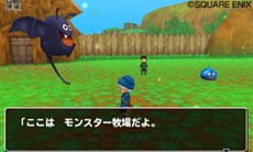 画像ギャラリー No.015のサムネイル画像 / 「ドラゴンクエストモンスターズ テリーのワンダーランド3D」冒険の拠点となる「タイジュの国」のさまざまな施設を紹介