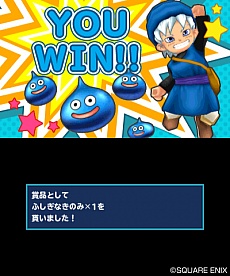 画像ギャラリー No.030のサムネイル画像 / 「ドラゴンクエストモンスターズ　テリーのワンダーランド3D」“旅の扉”から行けるダンジョンの一部などが公開。最奥では，あのシーンが再び？