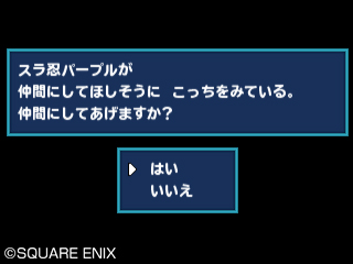 画像ギャラリー No.006のサムネイル画像 / 「ドラゴンクエストモンスターズ テリーのワンダーランド3D」，配信地域によって異なるモンスターが登場するスペシャルデータの配信を5月31日に開始