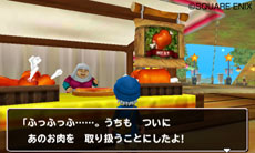 画像ギャラリー No.014のサムネイル画像 / 「ドラゴンクエストモンスターズ　テリーのワンダーランド3D」本日発売。オリジナルストーリーやゲームクリア後に楽しめる要素が公開