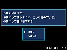 画像ギャラリー No.005のサムネイル画像 / 「DQM テリーのワンダーランド3D」，“じげんりゅう”をすれちがい通信で配信