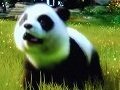 ［TGS 2011］「Kinect: ディズニーランド・アドベンチャーズ」などのKinect用タイトルが紹介されたメディア向けプレゼンテーションをレポート