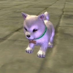 画像ギャラリー No.005のサムネイル画像 / 「Weapons of Mythology」宝具箱のリサイクルシステムを追加