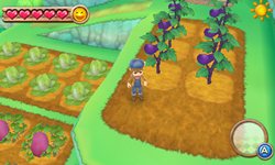 画像ギャラリー No.006のサムネイル画像 / 「牧場物語 はじまりの大地」の公式サイトがオープン＆数量限定の先着購入特典の内容が明らかに