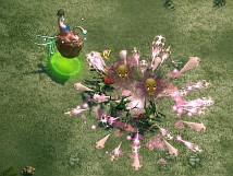 ������ �ҡ������� ����饤��