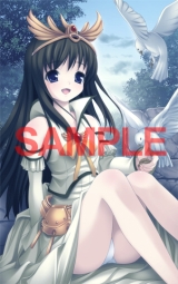 画像ギャラリー No.001のサムネイル画像 / PSP版「永遠のアセリア」,店舗別購入特典のイラストが公開に