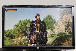 画像ギャラリー No.017のサムネイル画像 / ［G-Star 2012］このグラフィックスは現時点でのMMORPG最高峰か。Unreal Engine 3を採用した「BLESS」のプレイレポート