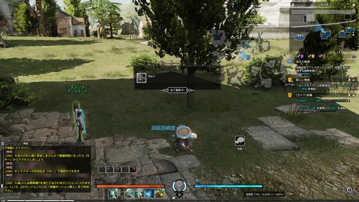 画像ギャラリー No.030のサムネイル画像 / 新作MMORPG「BLESS」で実施されたCBT2のインプレッションを掲載。最高峰のグラフィックスで描かれる王道MMORPGを体験