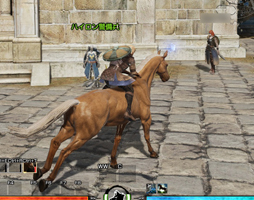 画像ギャラリー No.035のサムネイル画像 / 新作MMORPG「BLESS」で実施されたCBT2のインプレッションを掲載。最高峰のグラフィックスで描かれる王道MMORPGを体験