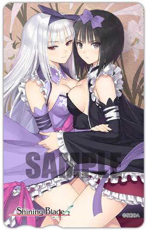 画像ギャラリー No.013のサムネイル画像 / 「シャイニング・ブレイド」店舗別予約特典と限定版の情報が一挙公開