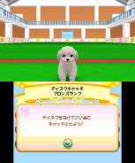 画像ギャラリー No.011のサムネイル画像 / ペット育成シミュレーション「かわいい仔犬3D」が12月15日発売。ミニチュアダックスフンドやトイプードルなど12犬種と一緒に遊べる