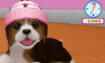 画像ギャラリー No.021のサムネイル画像 / ペット育成シミュレーション「かわいい仔犬3D」が12月15日発売。ミニチュアダックスフンドやトイプードルなど12犬種と一緒に遊べる