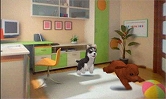 画像ギャラリー No.006のサムネイル画像 / 「かわいい仔犬3D」公式サイトが19日にオープン。登場犬種などが公開中
