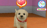 かわいい仔犬3D