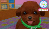 かわいい仔犬3D