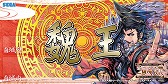 画像ギャラリー No.010のサムネイル画像 / 「三国志大戦TCG」，公式イベント「TCGの宴2014in名古屋」が3月1日に開催