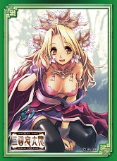 画像ギャラリー No.008のサムネイル画像 / 「三国志大戦TCG」スタートセット無料配布キャンペーンを6月1日から実施