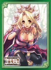 画像ギャラリー No.016のサムネイル画像 / 「三国志大戦TCG」ブースターパック第9弾「新たなる覇業」が7月26日に発売