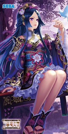 画像ギャラリー No.006のサムネイル画像 / 「三国志大戦TCG」12月14日に開催される「TCGの宴2014秋in福岡」の概要を公開
